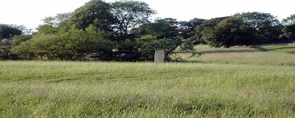 Standing stone